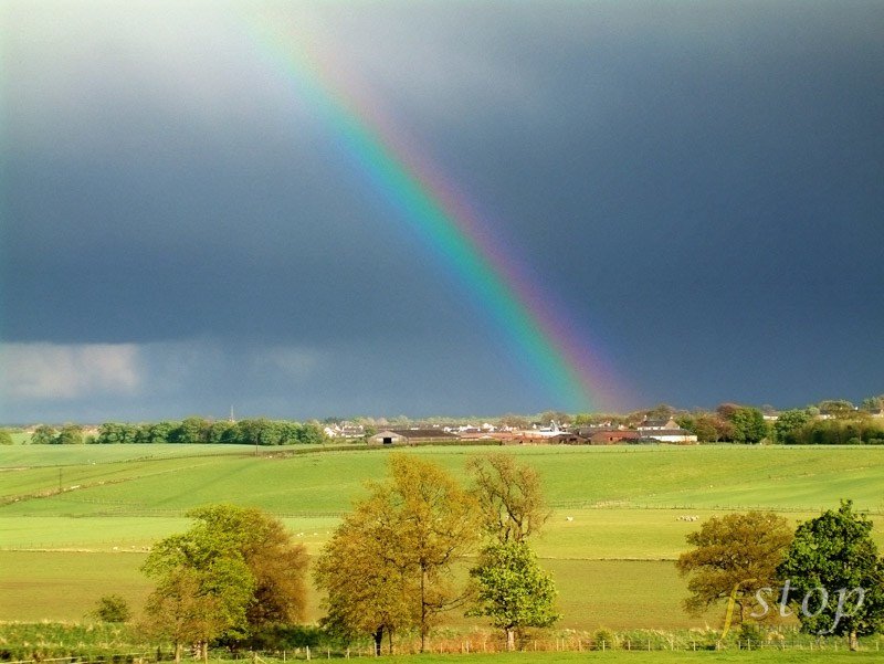 A rainbow in full colour
