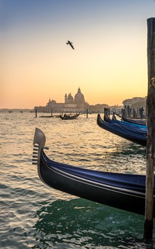 The Venice Lagoon and Gondolas