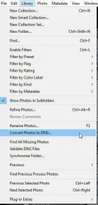Convert Raw Files to DNG