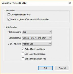 Convert Raw Files to DNG