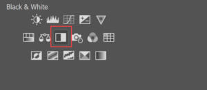 Black and White adjustment layer icon