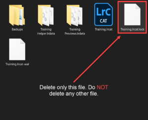 The lightroom catalog named lightroom catalog cannot be opened because что делать