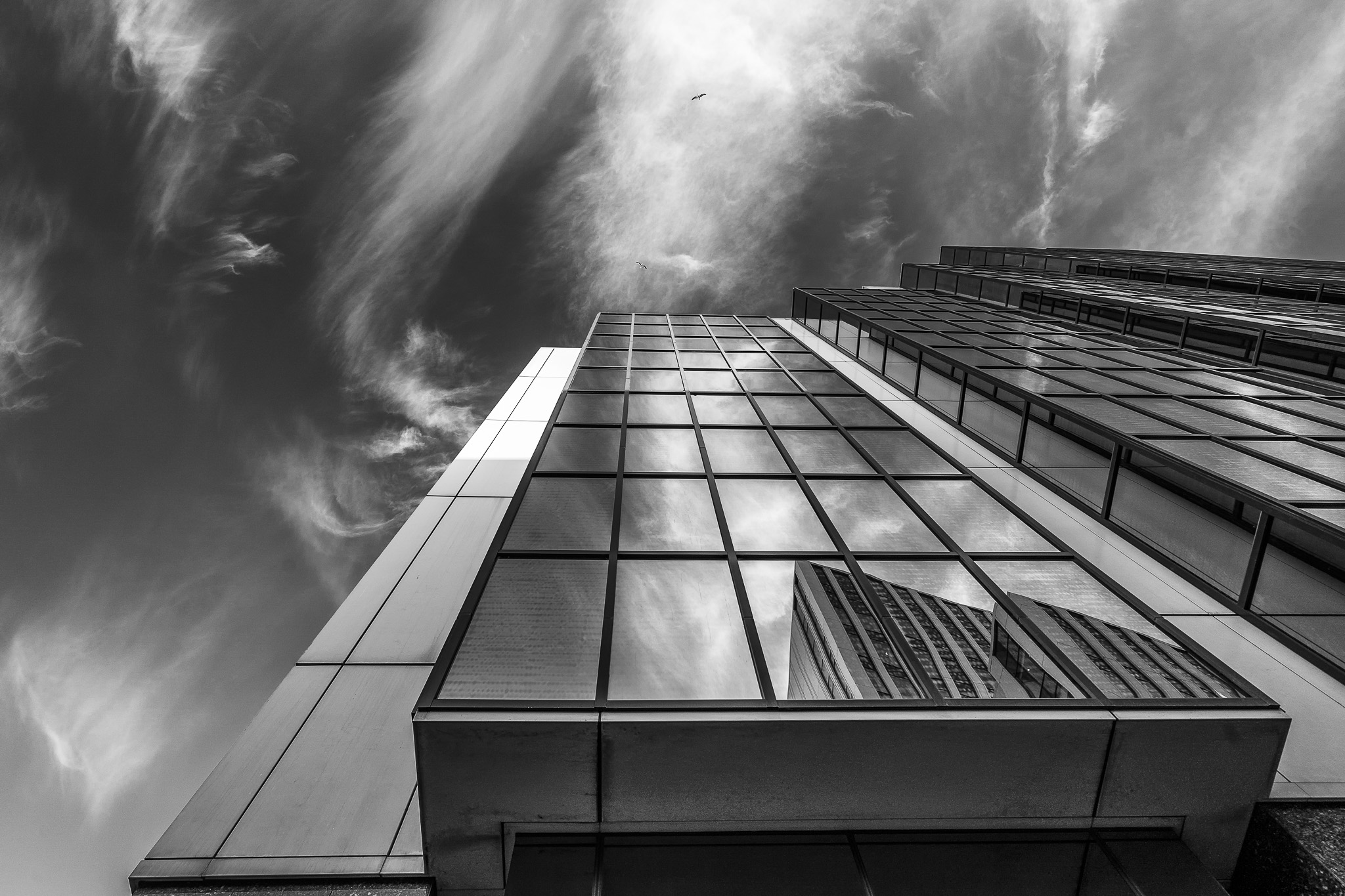 Black and white image of tall buildings